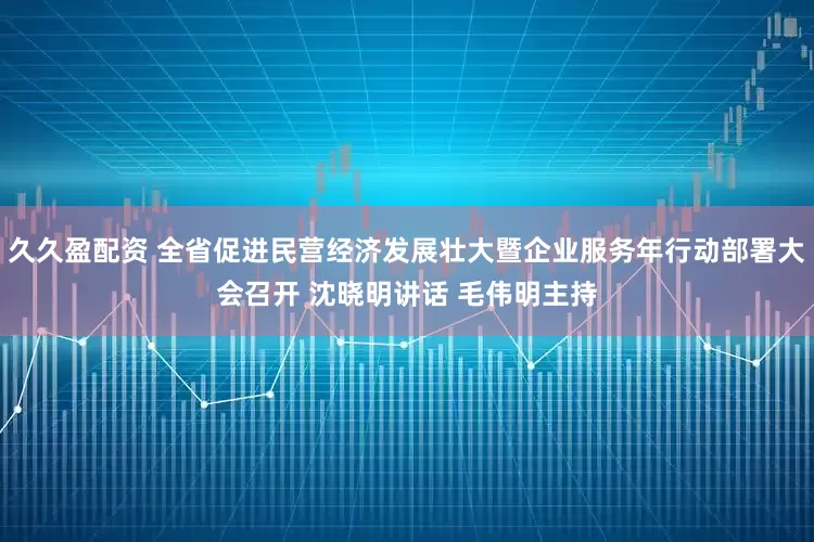 久久盈配资 全省促进民营经济发展壮大暨企业服务年行动部署大会召开 沈晓明讲话 毛伟明主持